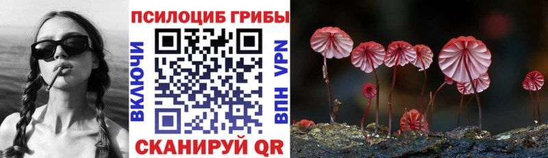Псилоцибиновые грибы Magic Shrooms  Купить  Терек 